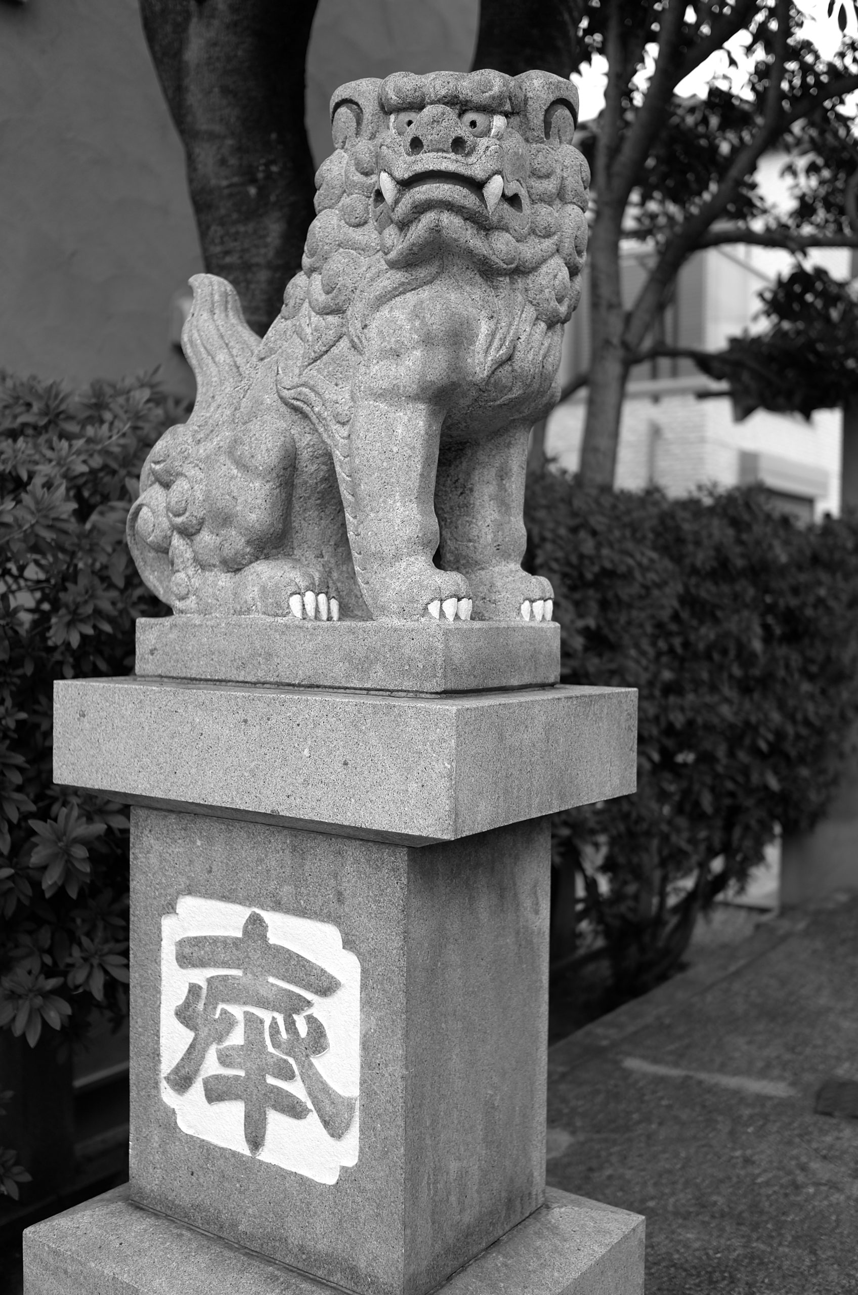 【豊興西宮神社】狛犬（LEICA X [Typ113]Edition MONCLER）